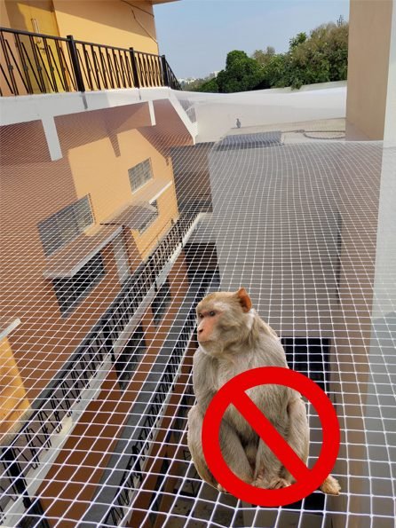 Monkey Safety Nets installation in Chennai by AJD Enterprises
