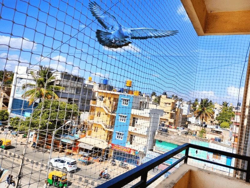 Full Terrace Pigeon Net Coverage — Pigeon Safety Nets project by AJD Enterprises in Velachery, Chennai