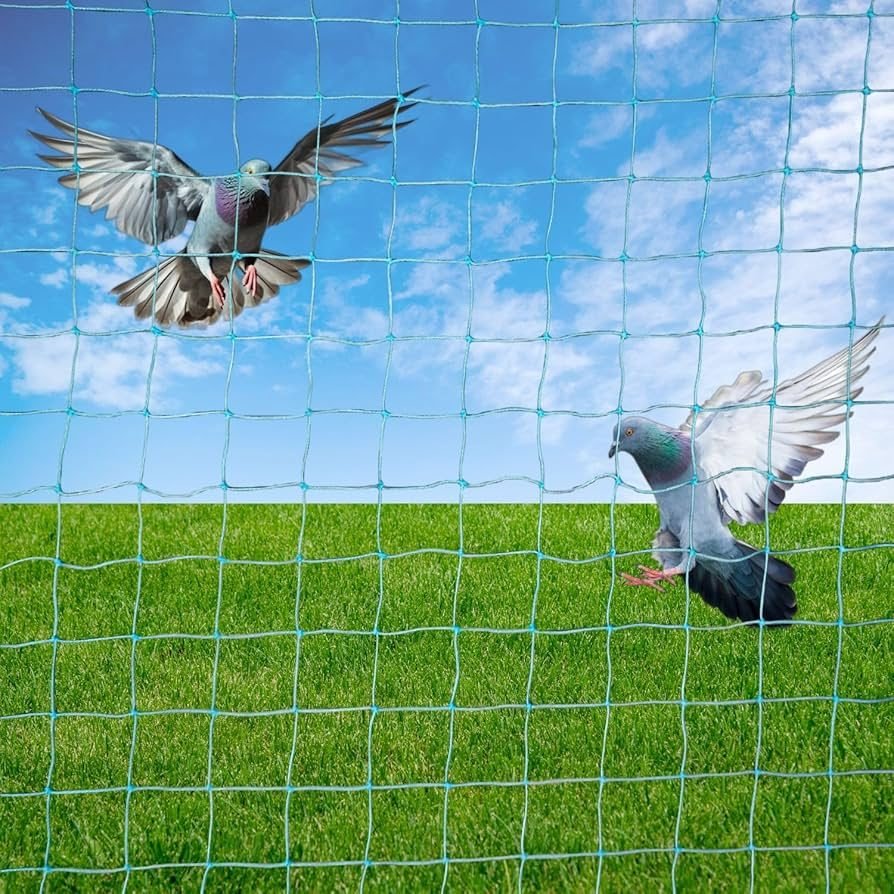 Pigeon Safety Nets installation photo by AJD Enterprises, Chennai